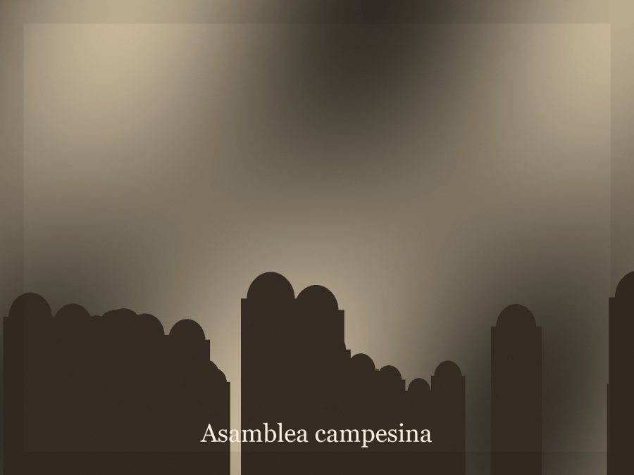 Asamblea campesina